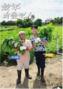 花儿与少年